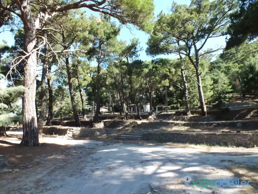 yamanlar dağı izmir